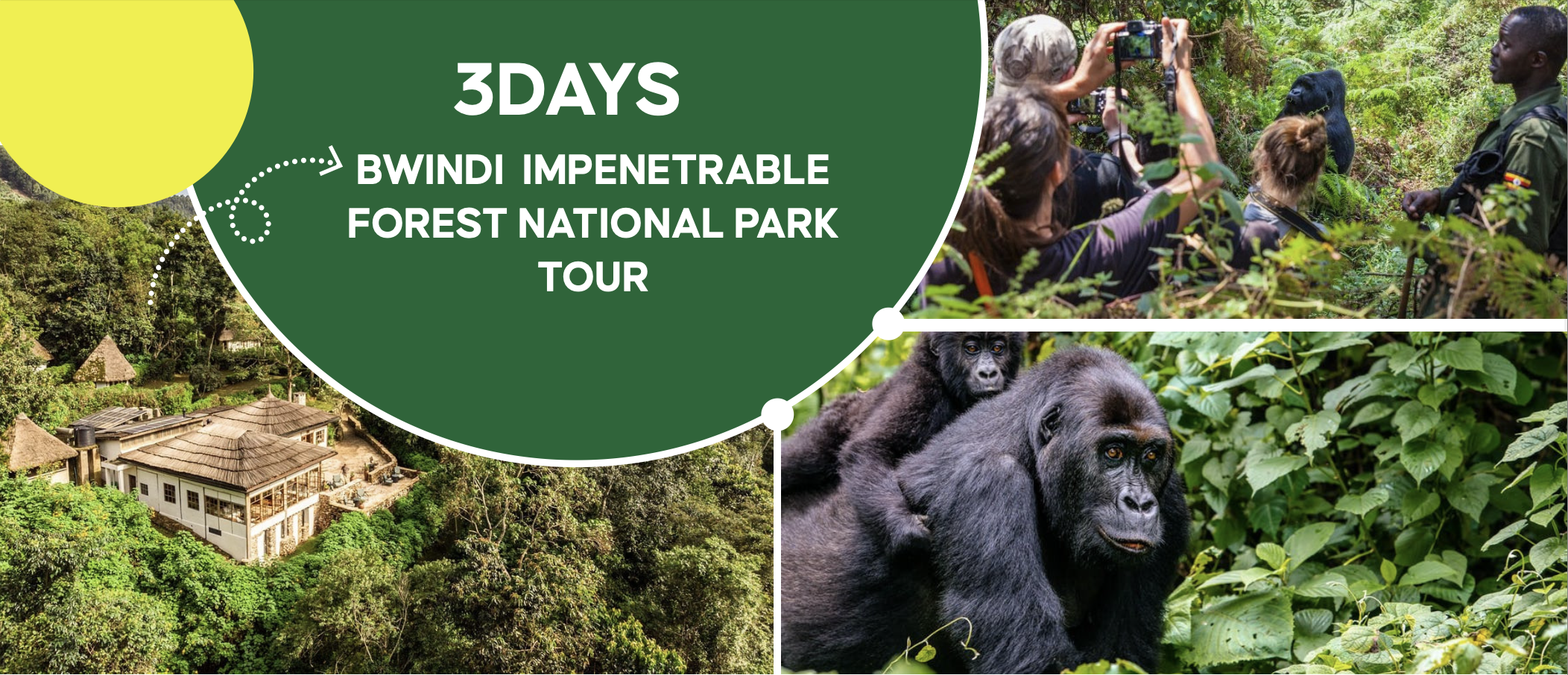 Bwindi Impenetrable Forest National Park Tour